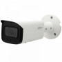 IP-камера Dahua DH-IPC-HFW2231TP-ZS (2,7-13,5мм)